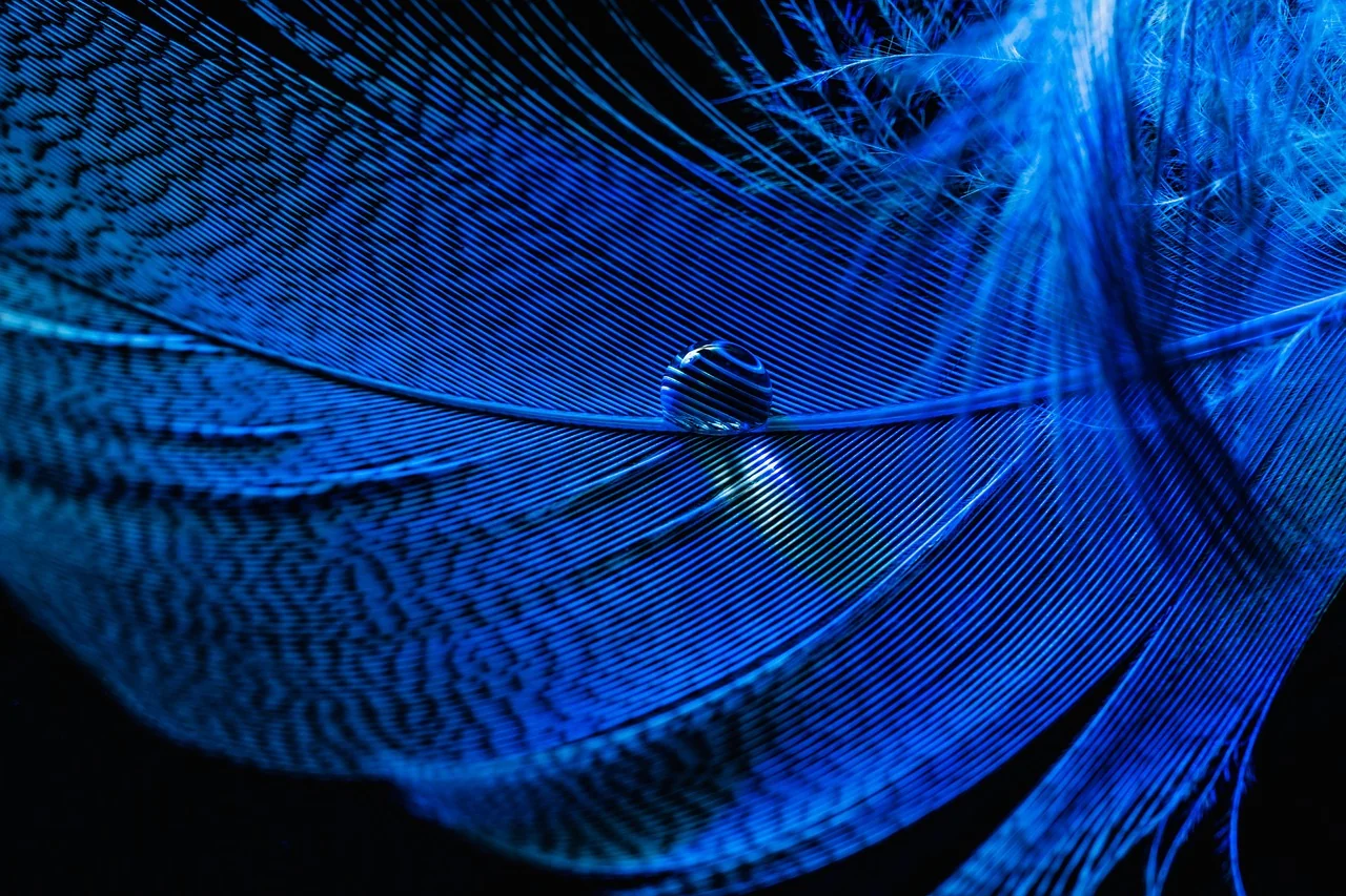 Business Internet Connection